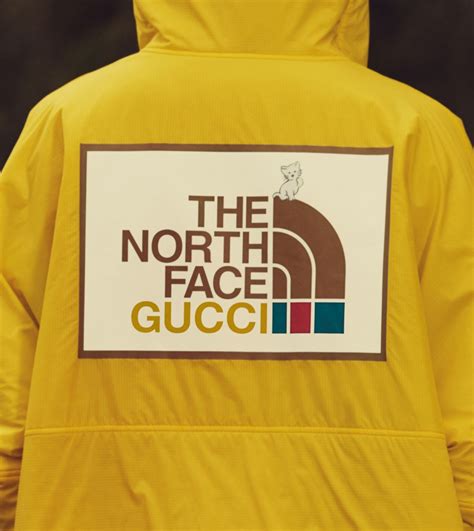 the north face gucci prezzo|north face gucci shop online.